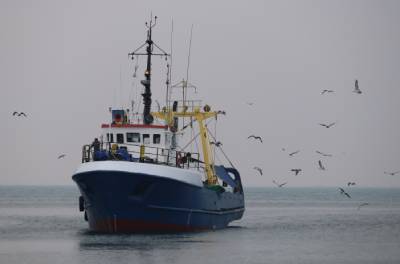 Curso superior de Conocimiento de la legislación marítimo pesquera española