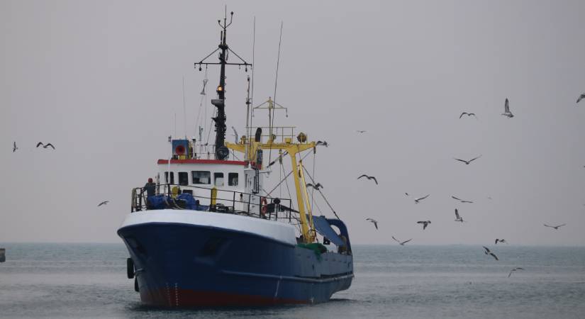 Curso de Conocimiento de la legislación marítimo pesquera española