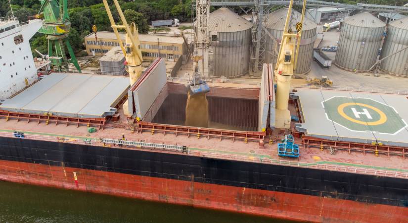 Curso de Transporte marítimo de cargas sólidas a granel